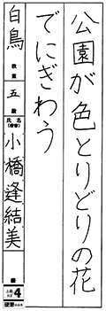 白鳥教室　四年生	小橋　逢結美